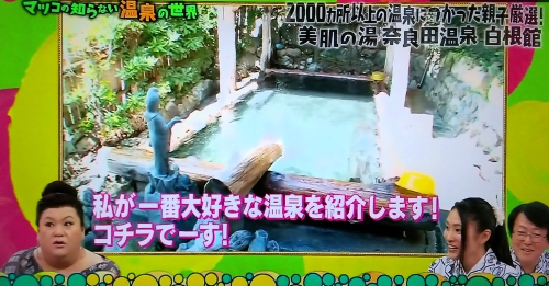 奈良田温泉白根館