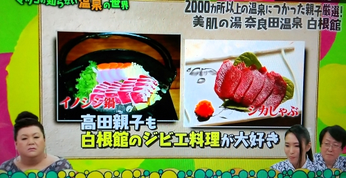 奈良田温泉白根館ジビエ