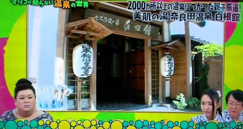 奈良田温泉白根館外観