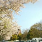 ラステリ手術の日が決まりました!